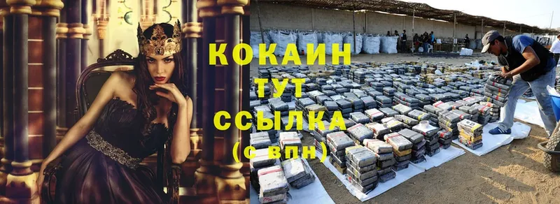 blacksprut как войти  Дубовка  COCAIN Боливия 