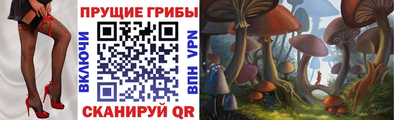 сайты даркнета формула  Дубовка  Псилоцибиновые грибы Cubensis 